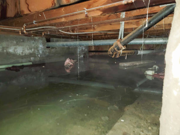 Best 24/7 water damage repair  in Sugar City, ID