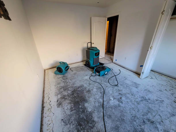 Best Water damage restoration near me  in Sugar City, ID